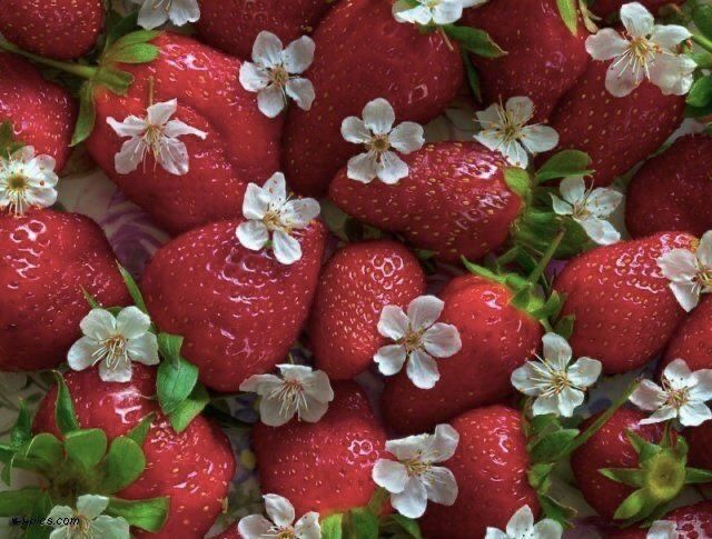 آموزش نقاشی توت فرنگی برای کودکان