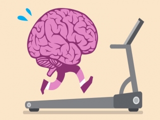مغز هم ورزش می خواهد
