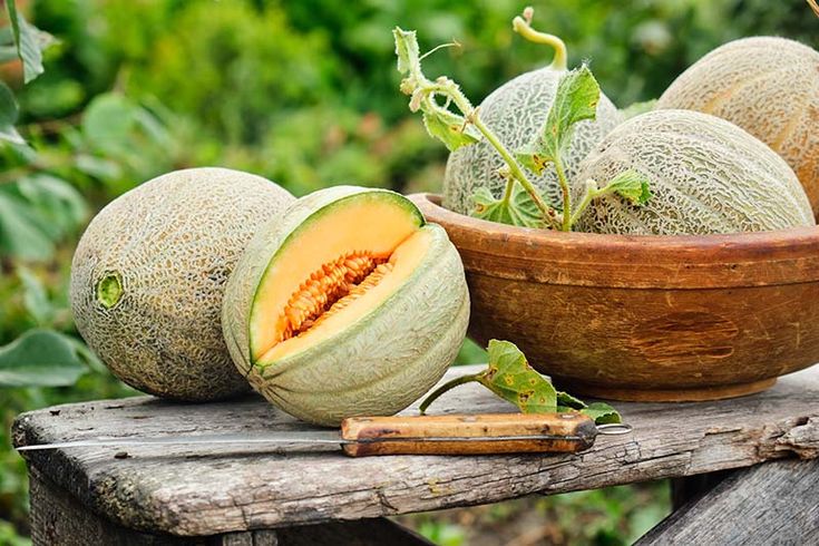 دسر طالبی با ژله تمشک