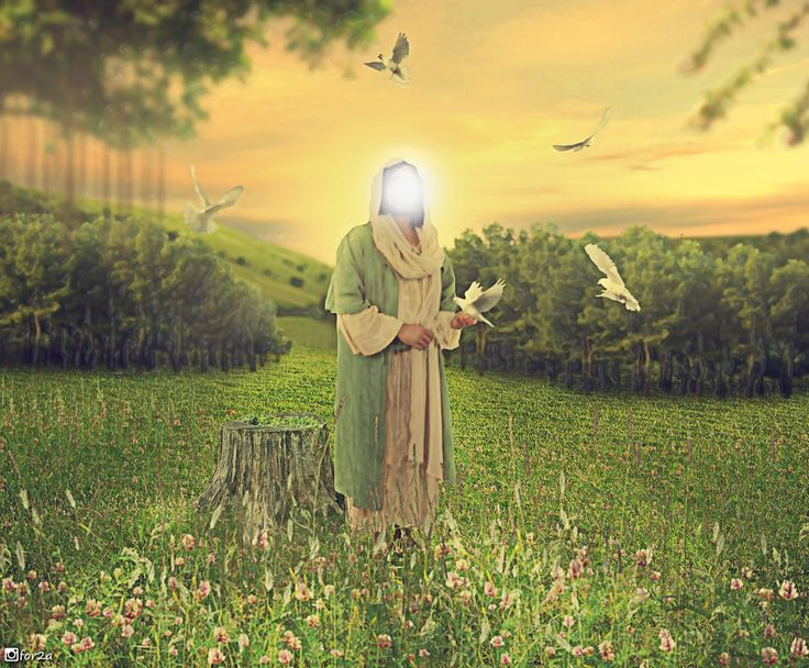 در وصف امام زمان