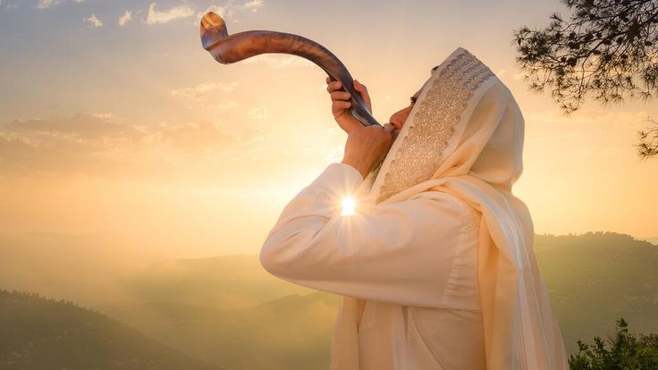پیامبر رحمت و آیین مهرورزی