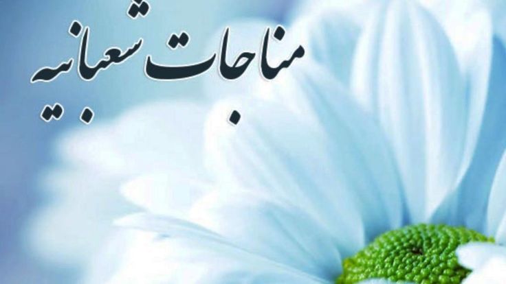 مناجات شعبانیه