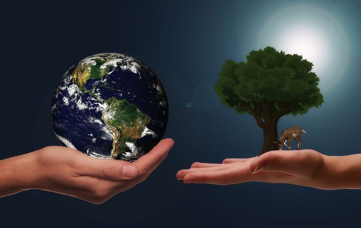 آشنایی با اقتصاد محیط زیست