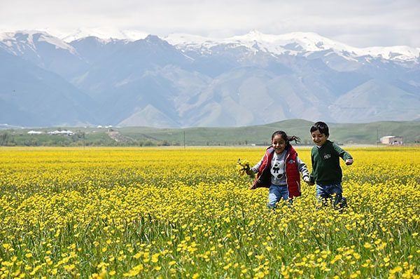 ای چشمه (شعر کردی)