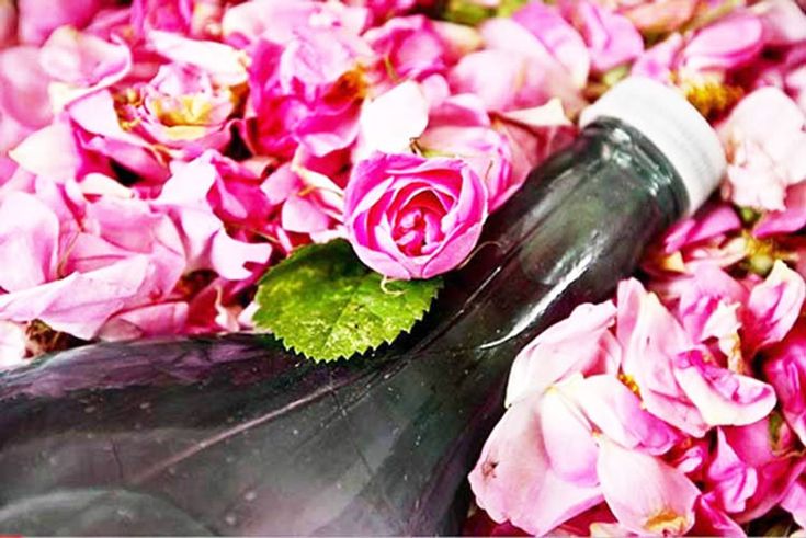 خواص شگفت انگیز گلاب