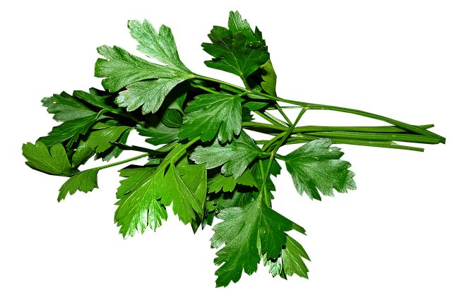 میوه ها و گیاهان دارویی برای پوست و مو