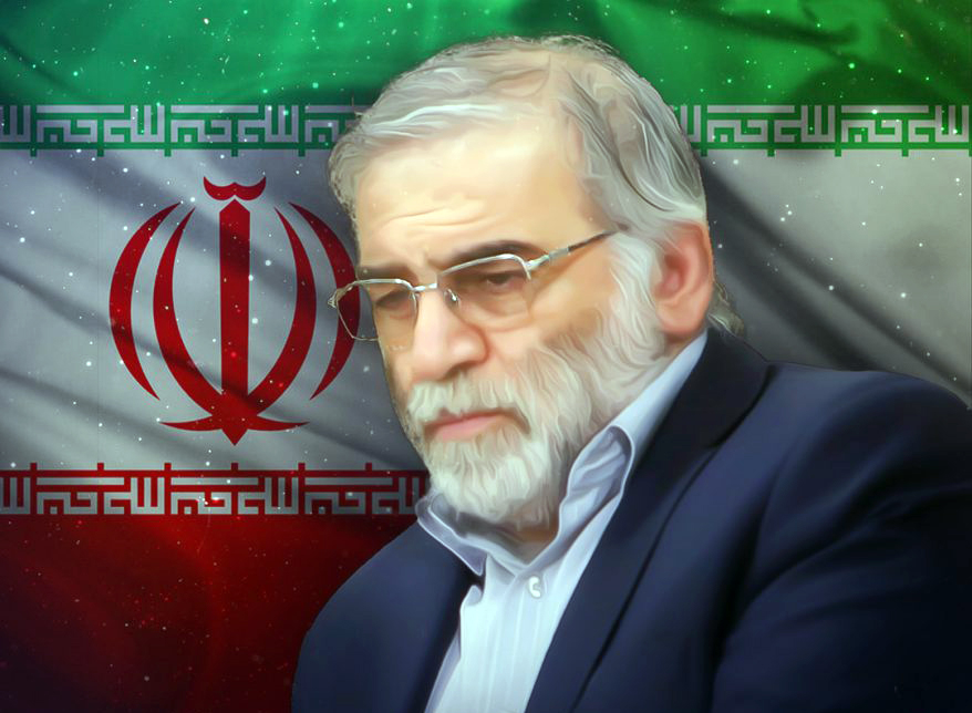 زندگینامه محسن فخری‌ زاده