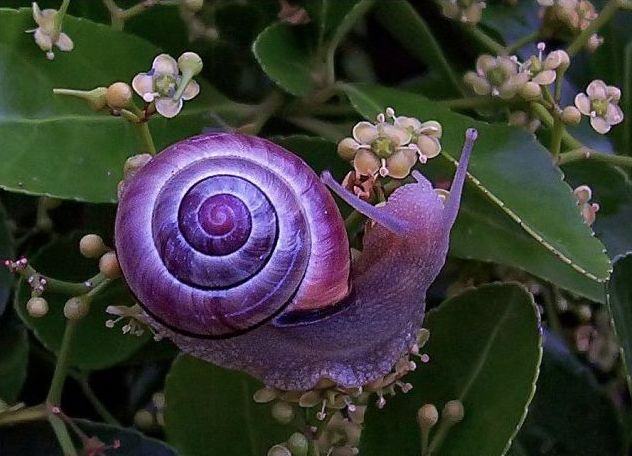 رنگ های موجود در طبیعت