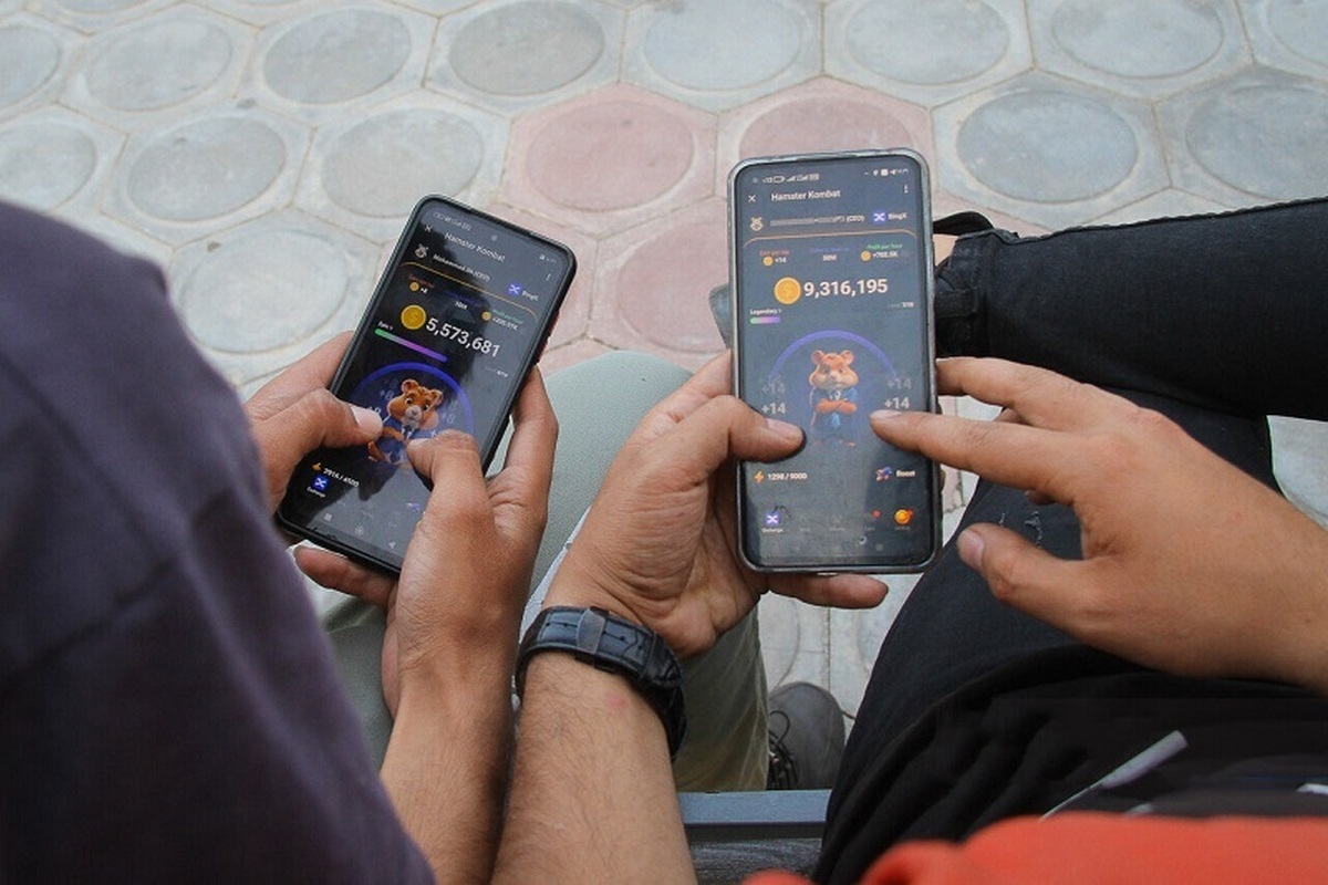 قیمت همستر کامبت مشخص شد
