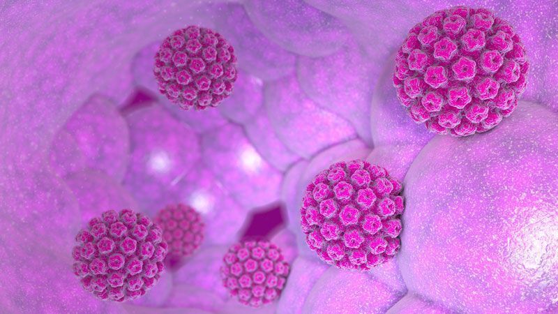 درمان اچ پی وی در زنان (hpv چیست؟)