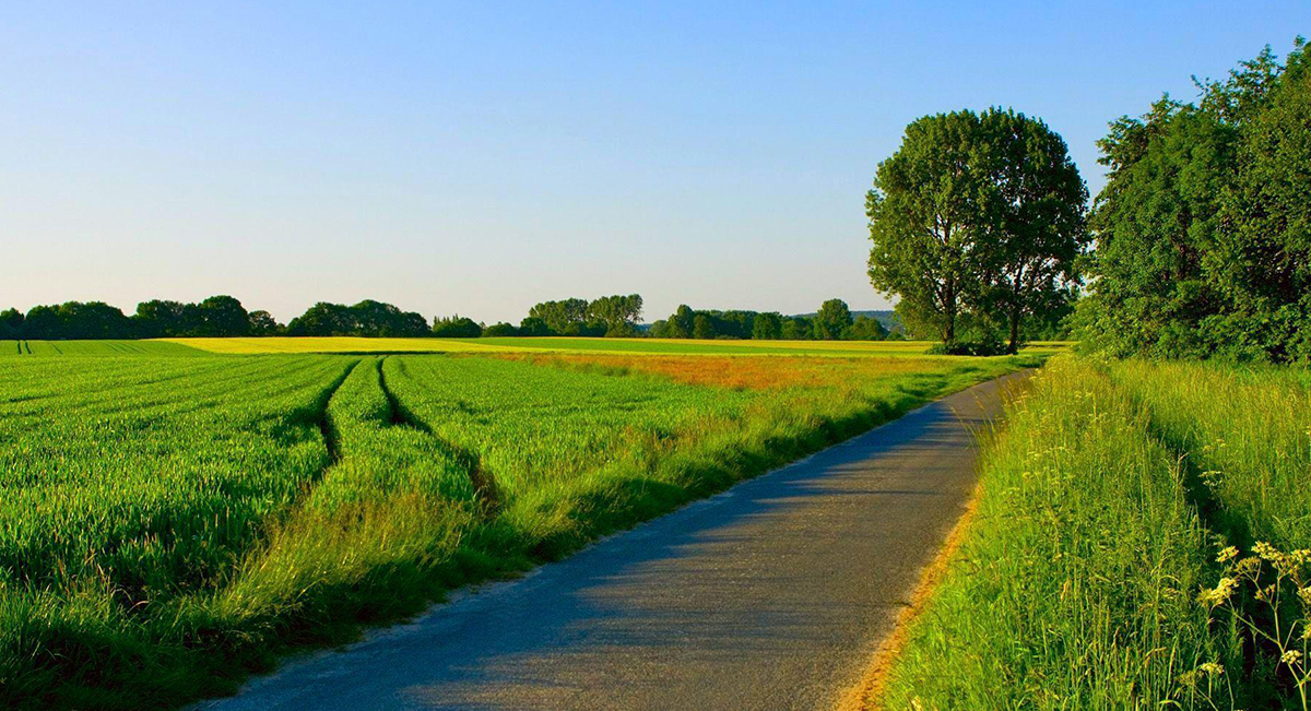 عکس‌های طبیعت تابستانی