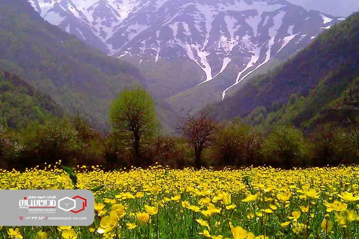 رؤیای شمال ایران