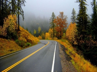 گالری جاده های زیبا و رؤیایی