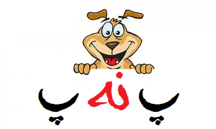 پـَـ نـَـ پـَـ های باحال تصویری