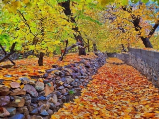 پاییز از نگاه یک عکاس