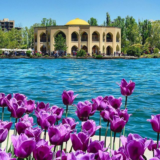 ال گولی تبریز
