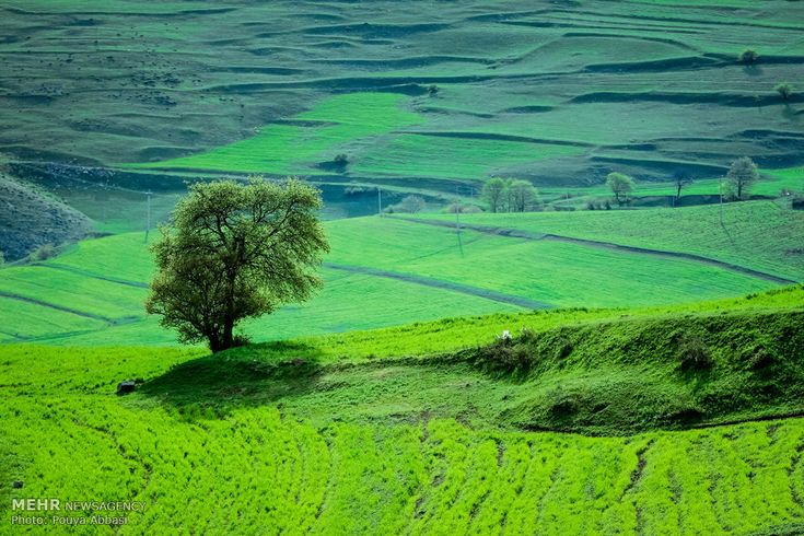 طبیعت تبریز