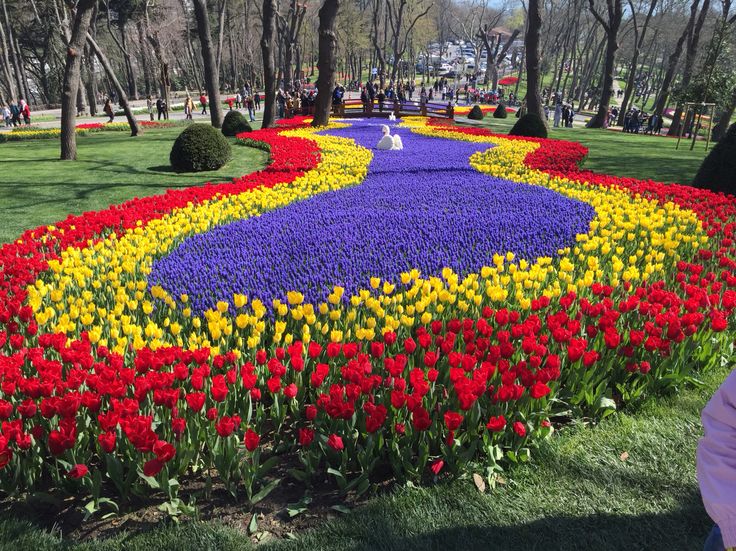 عکس گل و منظره زیبا برای پروفایل