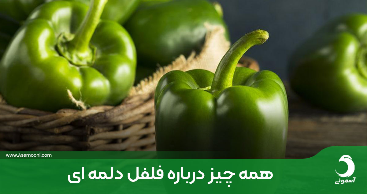 مهم ترین خواص فلفل دلمه ای و عوارض آن