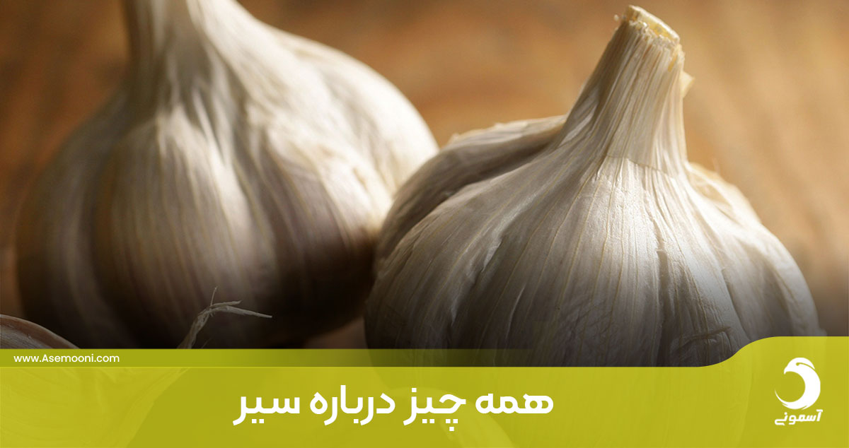 همه چیز درباره سیر