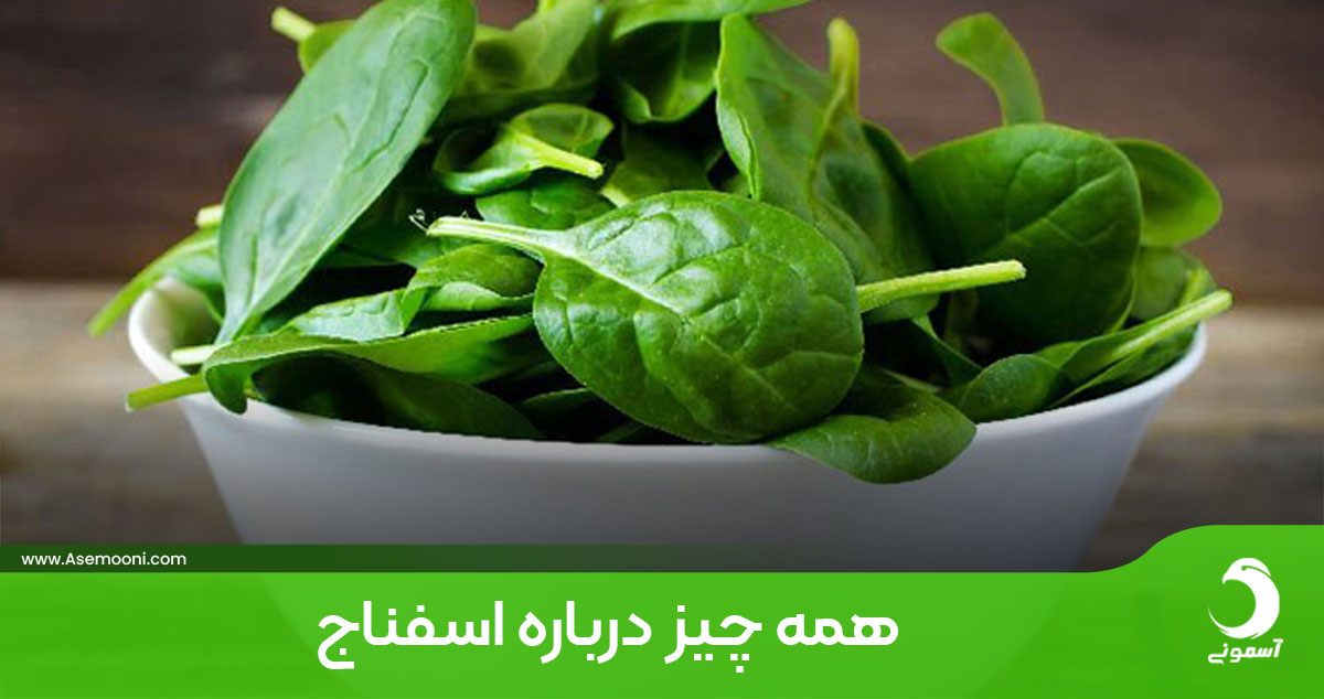 همه چیز درباره اسفناج