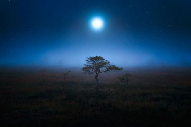 عکس جذاب از نور ماه در بیابان