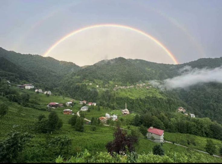 تصاویری زیبا از جنگل ابر شاهرود