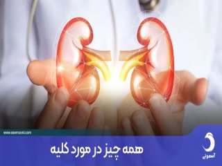 همه چیز در مورد کلیه