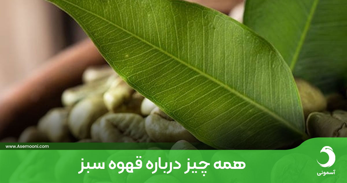 همه چیز درباره قهوه سبز