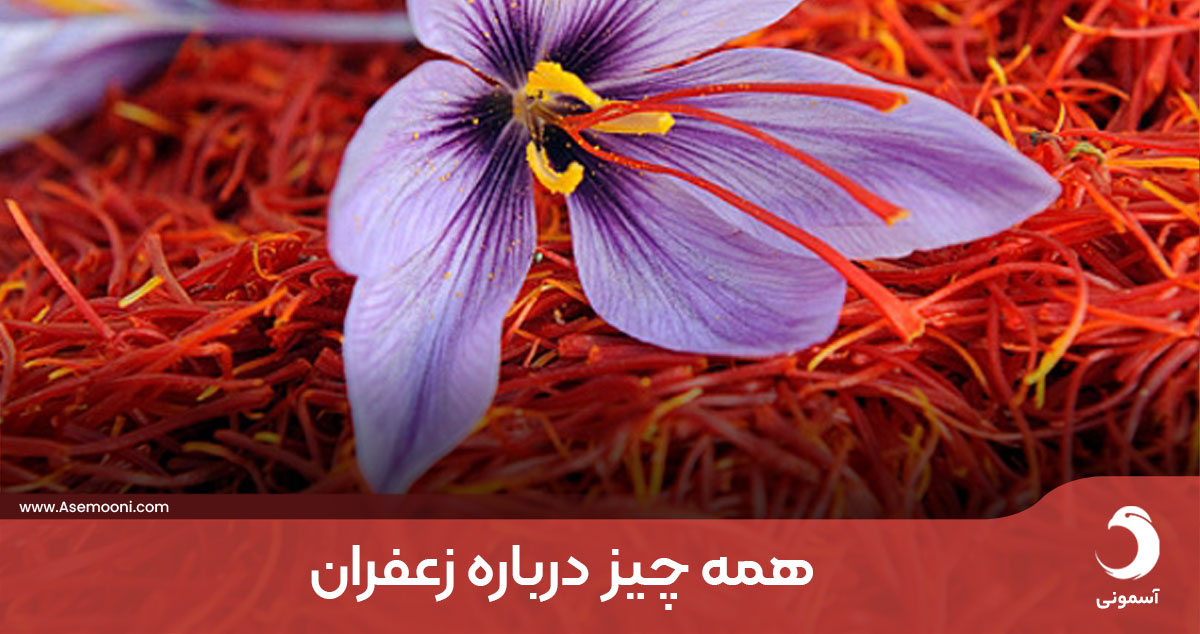 همه چیز درباره زعفران