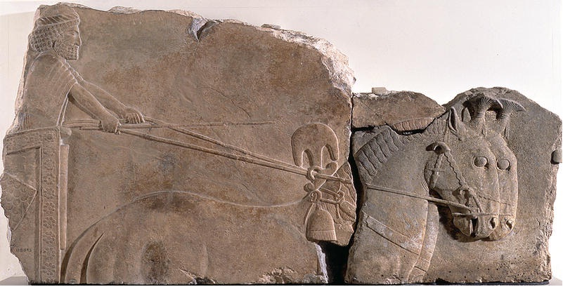 نقش برجسته ارابه ران هخامنشی در موزه میهوی ژاپن