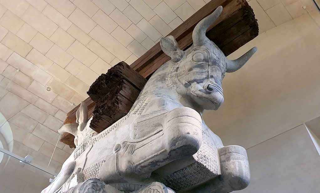 سرستون گاو شاخ دار هخامنشی، از کاخ آپادانا تا موزه لوور