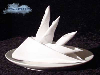 تزیین دستمال سفره (سری پنچم)