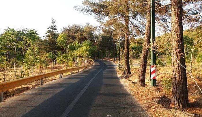 پارک جنگلی چیتگر