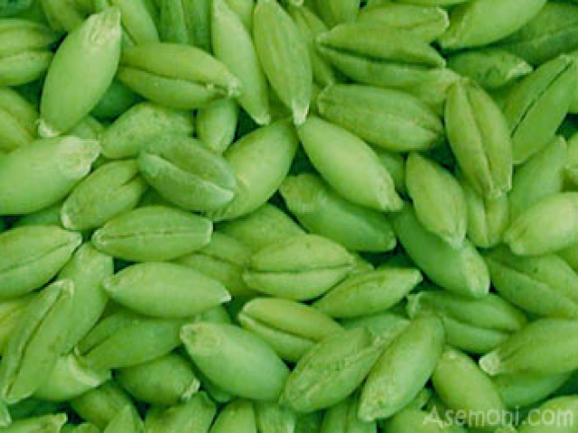 ارمغان سلامتی با 5 ماده گیاهی ارمغان سلامتی با 5 ماده گیاهی