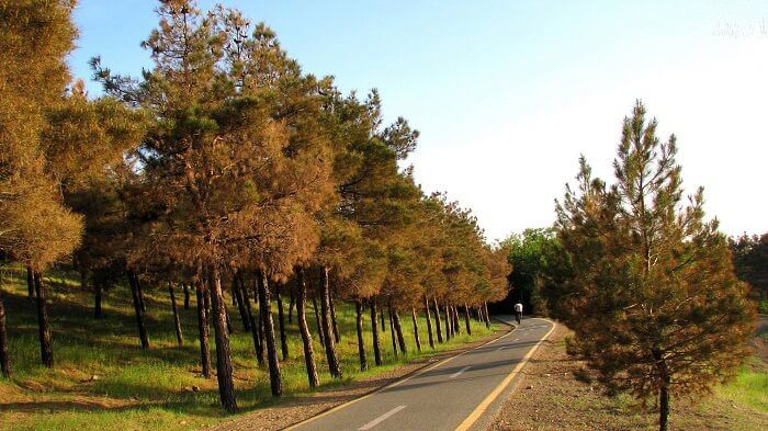 پارک جنگلی چیتگر-chitgar park