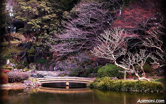 سخنان بزرگان ، جملات حکیمانه و پند های زیبا