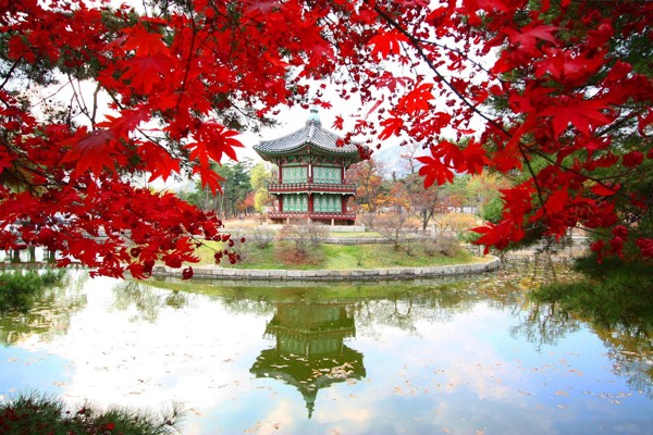beautiful-pictures-of-south-korea(2)