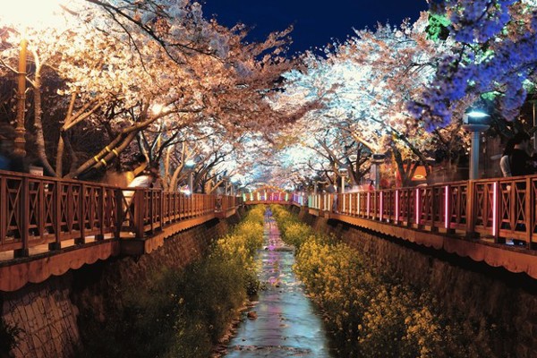 beautiful-pictures-of-south-korea(23)