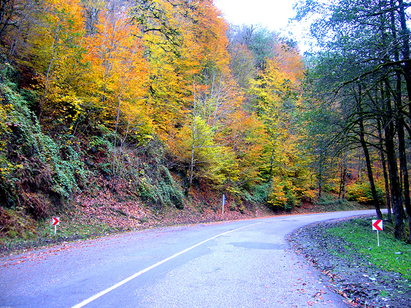 جاده چالوس پاییزی در قاب تصویر