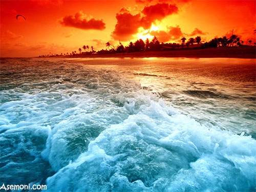 ساحل تنهایی دل