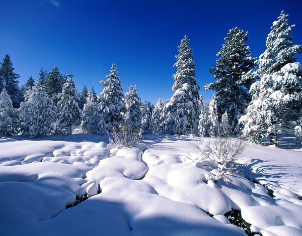 زیبایی برف