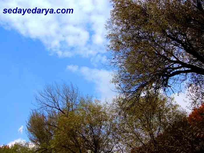 نوروز شهر و روستای شما