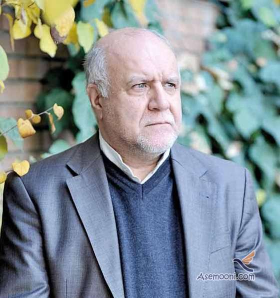 bijan-namdar-zangeneh-biography(4)