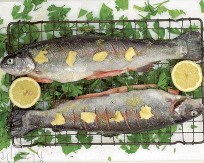 grill-trout