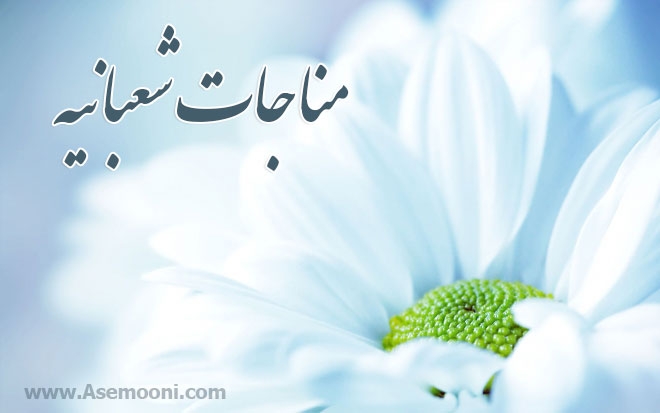 مناجات شعبانیه با معنی