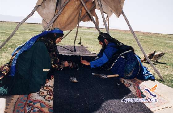 understanding-living-nomads(6)