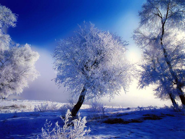 92418-nature-winter-wallpaper-beautiful-nature-winter-wallpapers