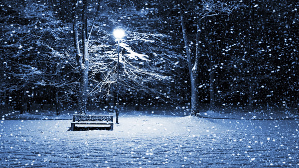 Winter-Season-Cover-Photo-11