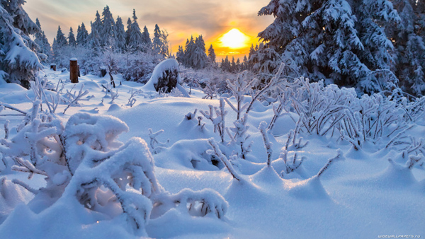 Winter-Season-Nature-Image-Wallpapers-Nature-Landscape-Images-Winter-Wallpaper